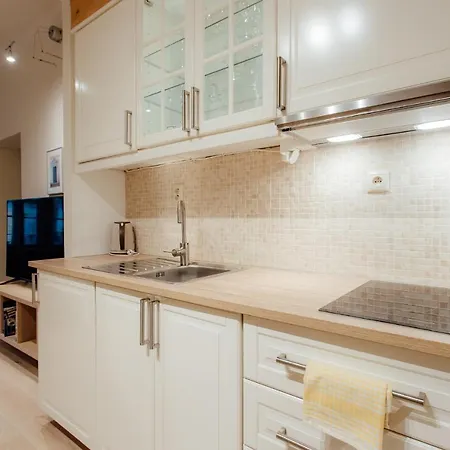 Commodus Ix 아파트 Banská Štiavnica